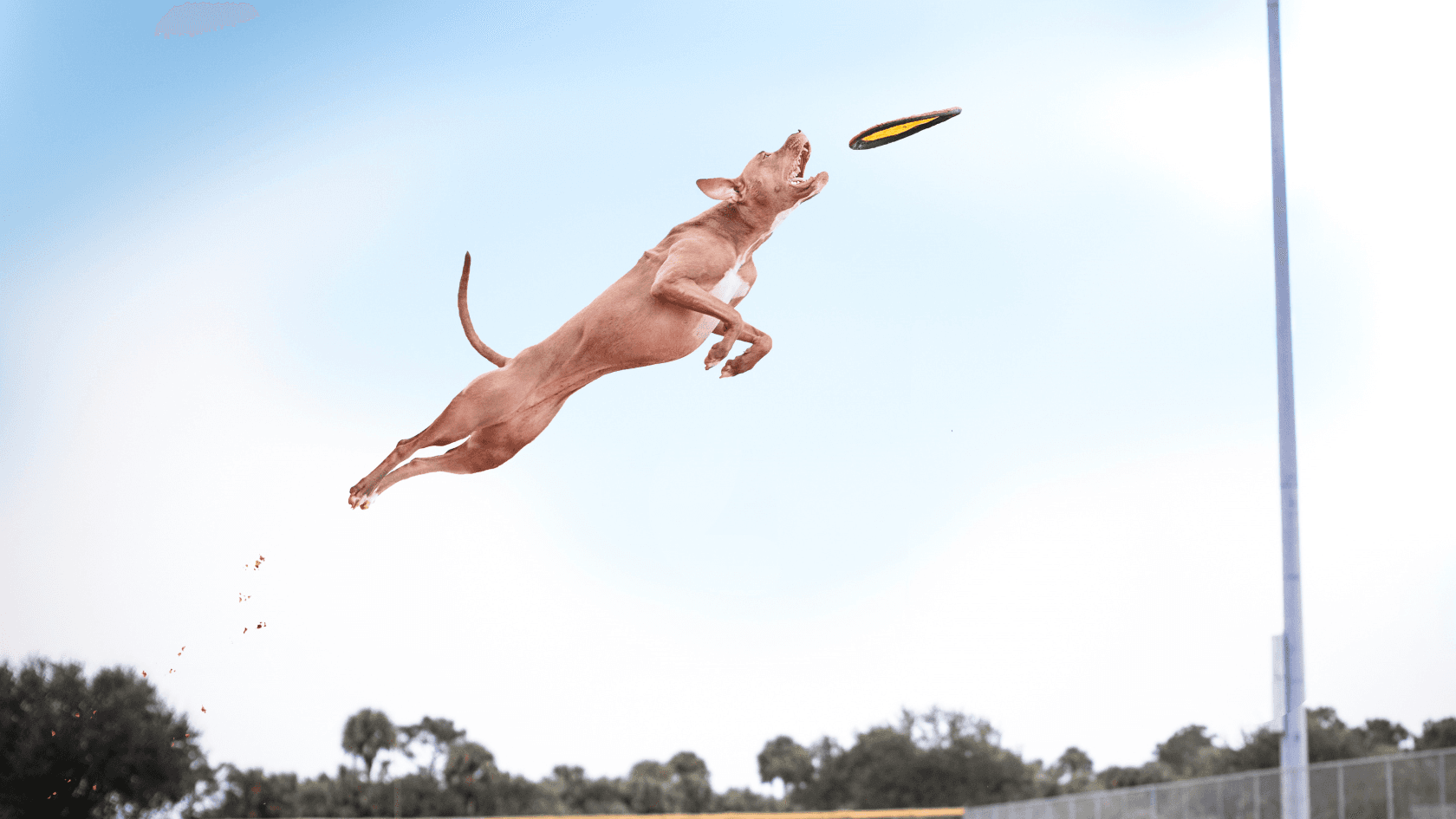 Exceptions catching / handling / throwing